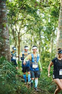 BIB: 
                            <button type="button" onclick="openModal(22645908)" class="btn btn-primary btn-sm float-right btn-popup" data-toggle="modal" data-target=".modal-high-quality">
                        <i class="fas fa-shopping-cart"></i> Add to Cart
                    </button>
                                            <button type="button" onclick="isThisMe(22645908, true)" class="btn btn-success btn-sm float-right btn-popup btn-isme hidden" data-toggle="tooltip" data-placement="bottom" title="นี่คือรูปของคุณใช่ไหม คลิกที่นี่เพื่อเอาเข้าอัลบั้ม">
                        <i class="fas fa-plus"></i> Add to album
                    </button>
                    <button type="button" onclick="isThisMe(22645908, false)" class="btn btn-warning btn-sm float-right btn-popup btn-isnotme hidden">
                        <i class="fas fa-ban"></i> Remove from album
                    </button>