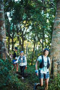 BIB: 227
                            <button type="button" onclick="openModal(22641498)" class="btn btn-primary btn-sm float-right btn-popup" data-toggle="modal" data-target=".modal-high-quality">
                        <i class="fas fa-shopping-cart"></i> Add to Cart
                    </button>
                                            <button type="button" onclick="isThisMe(22641498, true)" class="btn btn-success btn-sm float-right btn-popup btn-isme hidden" data-toggle="tooltip" data-placement="bottom" title="นี่คือรูปของคุณใช่ไหม คลิกที่นี่เพื่อเอาเข้าอัลบั้ม">
                        <i class="fas fa-plus"></i> Add to album
                    </button>
                    <button type="button" onclick="isThisMe(22641498, false)" class="btn btn-warning btn-sm float-right btn-popup btn-isnotme hidden">
                        <i class="fas fa-ban"></i> Remove from album
                    </button>