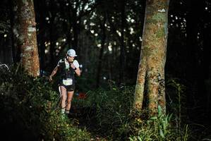 BIB: 
                            <button type="button" onclick="openModal(22639494)" class="btn btn-primary btn-sm float-right btn-popup" data-toggle="modal" data-target=".modal-high-quality">
                        <i class="fas fa-shopping-cart"></i> Add to Cart
                    </button>
                                            <button type="button" onclick="isThisMe(22639494, true)" class="btn btn-success btn-sm float-right btn-popup btn-isme hidden" data-toggle="tooltip" data-placement="bottom" title="นี่คือรูปของคุณใช่ไหม คลิกที่นี่เพื่อเอาเข้าอัลบั้ม">
                        <i class="fas fa-plus"></i> Add to album
                    </button>
                    <button type="button" onclick="isThisMe(22639494, false)" class="btn btn-warning btn-sm float-right btn-popup btn-isnotme hidden">
                        <i class="fas fa-ban"></i> Remove from album
                    </button>