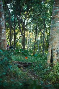 BIB: 
                            <button type="button" onclick="openModal(22641581)" class="btn btn-primary btn-sm float-right btn-popup" data-toggle="modal" data-target=".modal-high-quality">
                        <i class="fas fa-shopping-cart"></i> Add to Cart
                    </button>
                                            <button type="button" onclick="isThisMe(22641581, true)" class="btn btn-success btn-sm float-right btn-popup btn-isme hidden" data-toggle="tooltip" data-placement="bottom" title="นี่คือรูปของคุณใช่ไหม คลิกที่นี่เพื่อเอาเข้าอัลบั้ม">
                        <i class="fas fa-plus"></i> Add to album
                    </button>
                    <button type="button" onclick="isThisMe(22641581, false)" class="btn btn-warning btn-sm float-right btn-popup btn-isnotme hidden">
                        <i class="fas fa-ban"></i> Remove from album
                    </button>