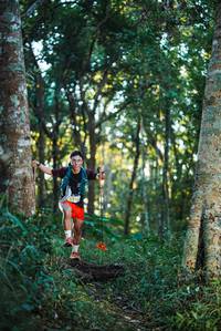 BIB: 
                            <button type="button" onclick="openModal(22640978)" class="btn btn-primary btn-sm float-right btn-popup" data-toggle="modal" data-target=".modal-high-quality">
                        <i class="fas fa-shopping-cart"></i> Add to Cart
                    </button>
                                            <button type="button" onclick="isThisMe(22640978, true)" class="btn btn-success btn-sm float-right btn-popup btn-isme hidden" data-toggle="tooltip" data-placement="bottom" title="นี่คือรูปของคุณใช่ไหม คลิกที่นี่เพื่อเอาเข้าอัลบั้ม">
                        <i class="fas fa-plus"></i> Add to album
                    </button>
                    <button type="button" onclick="isThisMe(22640978, false)" class="btn btn-warning btn-sm float-right btn-popup btn-isnotme hidden">
                        <i class="fas fa-ban"></i> Remove from album
                    </button>