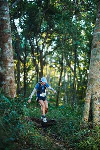 BIB: 
                            <button type="button" onclick="openModal(22641002)" class="btn btn-primary btn-sm float-right btn-popup" data-toggle="modal" data-target=".modal-high-quality">
                        <i class="fas fa-shopping-cart"></i> Add to Cart
                    </button>
                                            <button type="button" onclick="isThisMe(22641002, true)" class="btn btn-success btn-sm float-right btn-popup btn-isme hidden" data-toggle="tooltip" data-placement="bottom" title="นี่คือรูปของคุณใช่ไหม คลิกที่นี่เพื่อเอาเข้าอัลบั้ม">
                        <i class="fas fa-plus"></i> Add to album
                    </button>
                    <button type="button" onclick="isThisMe(22641002, false)" class="btn btn-warning btn-sm float-right btn-popup btn-isnotme hidden">
                        <i class="fas fa-ban"></i> Remove from album
                    </button>