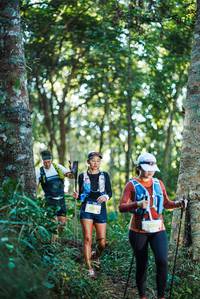 BIB: 
                            <button type="button" onclick="openModal(22643871)" class="btn btn-primary btn-sm float-right btn-popup" data-toggle="modal" data-target=".modal-high-quality">
                        <i class="fas fa-shopping-cart"></i> Add to Cart
                    </button>
                                            <button type="button" onclick="isThisMe(22643871, true)" class="btn btn-success btn-sm float-right btn-popup btn-isme hidden" data-toggle="tooltip" data-placement="bottom" title="นี่คือรูปของคุณใช่ไหม คลิกที่นี่เพื่อเอาเข้าอัลบั้ม">
                        <i class="fas fa-plus"></i> Add to album
                    </button>
                    <button type="button" onclick="isThisMe(22643871, false)" class="btn btn-warning btn-sm float-right btn-popup btn-isnotme hidden">
                        <i class="fas fa-ban"></i> Remove from album
                    </button>