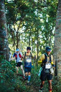 BIB: 
                            <button type="button" onclick="openModal(22642899)" class="btn btn-primary btn-sm float-right btn-popup" data-toggle="modal" data-target=".modal-high-quality">
                        <i class="fas fa-shopping-cart"></i> Add to Cart
                    </button>
                                            <button type="button" onclick="isThisMe(22642899, true)" class="btn btn-success btn-sm float-right btn-popup btn-isme hidden" data-toggle="tooltip" data-placement="bottom" title="นี่คือรูปของคุณใช่ไหม คลิกที่นี่เพื่อเอาเข้าอัลบั้ม">
                        <i class="fas fa-plus"></i> Add to album
                    </button>
                    <button type="button" onclick="isThisMe(22642899, false)" class="btn btn-warning btn-sm float-right btn-popup btn-isnotme hidden">
                        <i class="fas fa-ban"></i> Remove from album
                    </button>