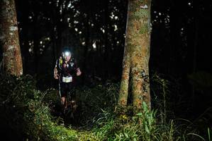 BIB: 2017
                            <button type="button" onclick="openModal(22639443)" class="btn btn-primary btn-sm float-right btn-popup" data-toggle="modal" data-target=".modal-high-quality">
                        <i class="fas fa-shopping-cart"></i> Add to Cart
                    </button>
                                            <button type="button" onclick="isThisMe(22639443, true)" class="btn btn-success btn-sm float-right btn-popup btn-isme hidden" data-toggle="tooltip" data-placement="bottom" title="นี่คือรูปของคุณใช่ไหม คลิกที่นี่เพื่อเอาเข้าอัลบั้ม">
                        <i class="fas fa-plus"></i> Add to album
                    </button>
                    <button type="button" onclick="isThisMe(22639443, false)" class="btn btn-warning btn-sm float-right btn-popup btn-isnotme hidden">
                        <i class="fas fa-ban"></i> Remove from album
                    </button>