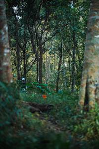 BIB: 
                            <button type="button" onclick="openModal(22641717)" class="btn btn-primary btn-sm float-right btn-popup" data-toggle="modal" data-target=".modal-high-quality">
                        <i class="fas fa-shopping-cart"></i> Add to Cart
                    </button>
                                            <button type="button" onclick="isThisMe(22641717, true)" class="btn btn-success btn-sm float-right btn-popup btn-isme hidden" data-toggle="tooltip" data-placement="bottom" title="นี่คือรูปของคุณใช่ไหม คลิกที่นี่เพื่อเอาเข้าอัลบั้ม">
                        <i class="fas fa-plus"></i> Add to album
                    </button>
                    <button type="button" onclick="isThisMe(22641717, false)" class="btn btn-warning btn-sm float-right btn-popup btn-isnotme hidden">
                        <i class="fas fa-ban"></i> Remove from album
                    </button>