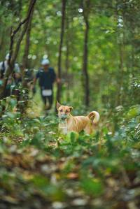 BIB: 
                            <button type="button" onclick="openModal(22534473)" class="btn btn-primary btn-sm float-right btn-popup" data-toggle="modal" data-target=".modal-high-quality">
                        <i class="fas fa-shopping-cart"></i> Add to Cart
                    </button>
                                            <button type="button" onclick="isThisMe(22534473, true)" class="btn btn-success btn-sm float-right btn-popup btn-isme hidden" data-toggle="tooltip" data-placement="bottom" title="นี่คือรูปของคุณใช่ไหม คลิกที่นี่เพื่อเอาเข้าอัลบั้ม">
                        <i class="fas fa-plus"></i> Add to album
                    </button>
                    <button type="button" onclick="isThisMe(22534473, false)" class="btn btn-warning btn-sm float-right btn-popup btn-isnotme hidden">
                        <i class="fas fa-ban"></i> Remove from album
                    </button>