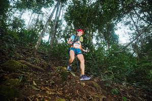 BIB: 
                            <button type="button" onclick="openModal(22549596)" class="btn btn-primary btn-sm float-right btn-popup" data-toggle="modal" data-target=".modal-high-quality">
                        <i class="fas fa-shopping-cart"></i> Add to Cart
                    </button>
                                            <button type="button" onclick="isThisMe(22549596, true)" class="btn btn-success btn-sm float-right btn-popup btn-isme hidden" data-toggle="tooltip" data-placement="bottom" title="นี่คือรูปของคุณใช่ไหม คลิกที่นี่เพื่อเอาเข้าอัลบั้ม">
                        <i class="fas fa-plus"></i> Add to album
                    </button>
                    <button type="button" onclick="isThisMe(22549596, false)" class="btn btn-warning btn-sm float-right btn-popup btn-isnotme hidden">
                        <i class="fas fa-ban"></i> Remove from album
                    </button>