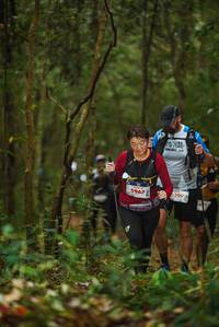 BIB: 5967, 399
                            <button type="button" onclick="openModal(22541383)" class="btn btn-primary btn-sm float-right btn-popup" data-toggle="modal" data-target=".modal-high-quality">
                        <i class="fas fa-shopping-cart"></i> Add to Cart
                    </button>
                                            <button type="button" onclick="isThisMe(22541383, true)" class="btn btn-success btn-sm float-right btn-popup btn-isme hidden" data-toggle="tooltip" data-placement="bottom" title="นี่คือรูปของคุณใช่ไหม คลิกที่นี่เพื่อเอาเข้าอัลบั้ม">
                        <i class="fas fa-plus"></i> Add to album
                    </button>
                    <button type="button" onclick="isThisMe(22541383, false)" class="btn btn-warning btn-sm float-right btn-popup btn-isnotme hidden">
                        <i class="fas fa-ban"></i> Remove from album
                    </button>