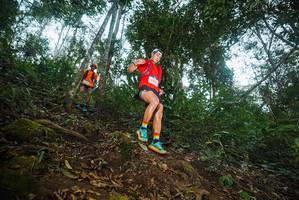 BIB: 310
                            <button type="button" onclick="openModal(22549586)" class="btn btn-primary btn-sm float-right btn-popup" data-toggle="modal" data-target=".modal-high-quality">
                        <i class="fas fa-shopping-cart"></i> Add to Cart
                    </button>
                                            <button type="button" onclick="isThisMe(22549586, true)" class="btn btn-success btn-sm float-right btn-popup btn-isme hidden" data-toggle="tooltip" data-placement="bottom" title="นี่คือรูปของคุณใช่ไหม คลิกที่นี่เพื่อเอาเข้าอัลบั้ม">
                        <i class="fas fa-plus"></i> Add to album
                    </button>
                    <button type="button" onclick="isThisMe(22549586, false)" class="btn btn-warning btn-sm float-right btn-popup btn-isnotme hidden">
                        <i class="fas fa-ban"></i> Remove from album
                    </button>