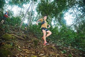 BIB: 
                            <button type="button" onclick="openModal(22548882)" class="btn btn-primary btn-sm float-right btn-popup" data-toggle="modal" data-target=".modal-high-quality">
                        <i class="fas fa-shopping-cart"></i> Add to Cart
                    </button>
                                            <button type="button" onclick="isThisMe(22548882, true)" class="btn btn-success btn-sm float-right btn-popup btn-isme hidden" data-toggle="tooltip" data-placement="bottom" title="นี่คือรูปของคุณใช่ไหม คลิกที่นี่เพื่อเอาเข้าอัลบั้ม">
                        <i class="fas fa-plus"></i> Add to album
                    </button>
                    <button type="button" onclick="isThisMe(22548882, false)" class="btn btn-warning btn-sm float-right btn-popup btn-isnotme hidden">
                        <i class="fas fa-ban"></i> Remove from album
                    </button>