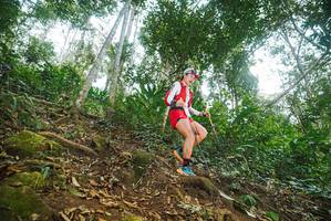 BIB: 
                            <button type="button" onclick="openModal(22550675)" class="btn btn-primary btn-sm float-right btn-popup" data-toggle="modal" data-target=".modal-high-quality">
                        <i class="fas fa-shopping-cart"></i> Add to Cart
                    </button>
                                            <button type="button" onclick="isThisMe(22550675, true)" class="btn btn-success btn-sm float-right btn-popup btn-isme hidden" data-toggle="tooltip" data-placement="bottom" title="นี่คือรูปของคุณใช่ไหม คลิกที่นี่เพื่อเอาเข้าอัลบั้ม">
                        <i class="fas fa-plus"></i> Add to album
                    </button>
                    <button type="button" onclick="isThisMe(22550675, false)" class="btn btn-warning btn-sm float-right btn-popup btn-isnotme hidden">
                        <i class="fas fa-ban"></i> Remove from album
                    </button>