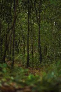 BIB: 
                            <button type="button" onclick="openModal(22516644)" class="btn btn-primary btn-sm float-right btn-popup" data-toggle="modal" data-target=".modal-high-quality">
                        <i class="fas fa-shopping-cart"></i> Add to Cart
                    </button>
                                            <button type="button" onclick="isThisMe(22516644, true)" class="btn btn-success btn-sm float-right btn-popup btn-isme hidden" data-toggle="tooltip" data-placement="bottom" title="นี่คือรูปของคุณใช่ไหม คลิกที่นี่เพื่อเอาเข้าอัลบั้ม">
                        <i class="fas fa-plus"></i> Add to album
                    </button>
                    <button type="button" onclick="isThisMe(22516644, false)" class="btn btn-warning btn-sm float-right btn-popup btn-isnotme hidden">
                        <i class="fas fa-ban"></i> Remove from album
                    </button>