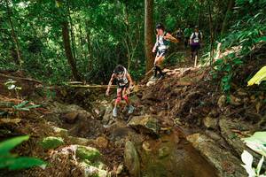 BIB: 
                            <button type="button" onclick="openModal(22421348)" class="btn btn-primary btn-sm float-right btn-popup" data-toggle="modal" data-target=".modal-high-quality">
                        <i class="fas fa-shopping-cart"></i> Add to Cart
                    </button>
                                            <button type="button" onclick="isThisMe(22421348, true)" class="btn btn-success btn-sm float-right btn-popup btn-isme hidden" data-toggle="tooltip" data-placement="bottom" title="นี่คือรูปของคุณใช่ไหม คลิกที่นี่เพื่อเอาเข้าอัลบั้ม">
                        <i class="fas fa-plus"></i> Add to album
                    </button>
                    <button type="button" onclick="isThisMe(22421348, false)" class="btn btn-warning btn-sm float-right btn-popup btn-isnotme hidden">
                        <i class="fas fa-ban"></i> Remove from album
                    </button>