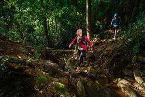 BIB: 
                            <button type="button" onclick="openModal(22410949)" class="btn btn-primary btn-sm float-right btn-popup" data-toggle="modal" data-target=".modal-high-quality">
                        <i class="fas fa-shopping-cart"></i> Add to Cart
                    </button>
                                            <button type="button" onclick="isThisMe(22410949, true)" class="btn btn-success btn-sm float-right btn-popup btn-isme hidden" data-toggle="tooltip" data-placement="bottom" title="นี่คือรูปของคุณใช่ไหม คลิกที่นี่เพื่อเอาเข้าอัลบั้ม">
                        <i class="fas fa-plus"></i> Add to album
                    </button>
                    <button type="button" onclick="isThisMe(22410949, false)" class="btn btn-warning btn-sm float-right btn-popup btn-isnotme hidden">
                        <i class="fas fa-ban"></i> Remove from album
                    </button>