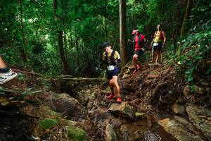 BIB: 
                            <button type="button" onclick="openModal(22417954)" class="btn btn-primary btn-sm float-right btn-popup" data-toggle="modal" data-target=".modal-high-quality">
                        <i class="fas fa-shopping-cart"></i> Add to Cart
                    </button>
                                            <button type="button" onclick="isThisMe(22417954, true)" class="btn btn-success btn-sm float-right btn-popup btn-isme hidden" data-toggle="tooltip" data-placement="bottom" title="นี่คือรูปของคุณใช่ไหม คลิกที่นี่เพื่อเอาเข้าอัลบั้ม">
                        <i class="fas fa-plus"></i> Add to album
                    </button>
                    <button type="button" onclick="isThisMe(22417954, false)" class="btn btn-warning btn-sm float-right btn-popup btn-isnotme hidden">
                        <i class="fas fa-ban"></i> Remove from album
                    </button>