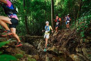 BIB: 
                            <button type="button" onclick="openModal(22419152)" class="btn btn-primary btn-sm float-right btn-popup" data-toggle="modal" data-target=".modal-high-quality">
                        <i class="fas fa-shopping-cart"></i> Add to Cart
                    </button>
                                            <button type="button" onclick="isThisMe(22419152, true)" class="btn btn-success btn-sm float-right btn-popup btn-isme hidden" data-toggle="tooltip" data-placement="bottom" title="นี่คือรูปของคุณใช่ไหม คลิกที่นี่เพื่อเอาเข้าอัลบั้ม">
                        <i class="fas fa-plus"></i> Add to album
                    </button>
                    <button type="button" onclick="isThisMe(22419152, false)" class="btn btn-warning btn-sm float-right btn-popup btn-isnotme hidden">
                        <i class="fas fa-ban"></i> Remove from album
                    </button>