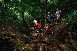 BIB: 
                            <button type="button" onclick="openModal(22416443)" class="btn btn-primary btn-sm float-right btn-popup" data-toggle="modal" data-target=".modal-high-quality">
                        <i class="fas fa-shopping-cart"></i> Add to Cart
                    </button>
                                            <button type="button" onclick="isThisMe(22416443, true)" class="btn btn-success btn-sm float-right btn-popup btn-isme hidden" data-toggle="tooltip" data-placement="bottom" title="นี่คือรูปของคุณใช่ไหม คลิกที่นี่เพื่อเอาเข้าอัลบั้ม">
                        <i class="fas fa-plus"></i> Add to album
                    </button>
                    <button type="button" onclick="isThisMe(22416443, false)" class="btn btn-warning btn-sm float-right btn-popup btn-isnotme hidden">
                        <i class="fas fa-ban"></i> Remove from album
                    </button>