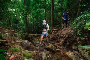 BIB: 
                            <button type="button" onclick="openModal(22441524)" class="btn btn-primary btn-sm float-right btn-popup" data-toggle="modal" data-target=".modal-high-quality">
                        <i class="fas fa-shopping-cart"></i> Add to Cart
                    </button>
                                            <button type="button" onclick="isThisMe(22441524, true)" class="btn btn-success btn-sm float-right btn-popup btn-isme hidden" data-toggle="tooltip" data-placement="bottom" title="นี่คือรูปของคุณใช่ไหม คลิกที่นี่เพื่อเอาเข้าอัลบั้ม">
                        <i class="fas fa-plus"></i> Add to album
                    </button>
                    <button type="button" onclick="isThisMe(22441524, false)" class="btn btn-warning btn-sm float-right btn-popup btn-isnotme hidden">
                        <i class="fas fa-ban"></i> Remove from album
                    </button>