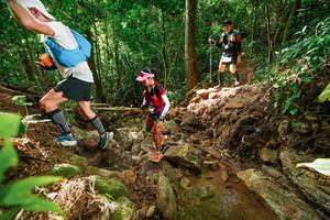 BIB: 
                            <button type="button" onclick="openModal(22421887)" class="btn btn-primary btn-sm float-right btn-popup" data-toggle="modal" data-target=".modal-high-quality">
                        <i class="fas fa-shopping-cart"></i> Add to Cart
                    </button>
                                            <button type="button" onclick="isThisMe(22421887, true)" class="btn btn-success btn-sm float-right btn-popup btn-isme hidden" data-toggle="tooltip" data-placement="bottom" title="นี่คือรูปของคุณใช่ไหม คลิกที่นี่เพื่อเอาเข้าอัลบั้ม">
                        <i class="fas fa-plus"></i> Add to album
                    </button>
                    <button type="button" onclick="isThisMe(22421887, false)" class="btn btn-warning btn-sm float-right btn-popup btn-isnotme hidden">
                        <i class="fas fa-ban"></i> Remove from album
                    </button>