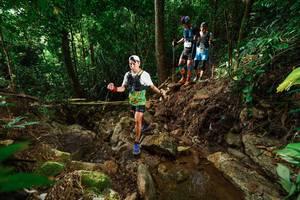 BIB: 
                            <button type="button" onclick="openModal(22420475)" class="btn btn-primary btn-sm float-right btn-popup" data-toggle="modal" data-target=".modal-high-quality">
                        <i class="fas fa-shopping-cart"></i> Add to Cart
                    </button>
                                            <button type="button" onclick="isThisMe(22420475, true)" class="btn btn-success btn-sm float-right btn-popup btn-isme hidden" data-toggle="tooltip" data-placement="bottom" title="นี่คือรูปของคุณใช่ไหม คลิกที่นี่เพื่อเอาเข้าอัลบั้ม">
                        <i class="fas fa-plus"></i> Add to album
                    </button>
                    <button type="button" onclick="isThisMe(22420475, false)" class="btn btn-warning btn-sm float-right btn-popup btn-isnotme hidden">
                        <i class="fas fa-ban"></i> Remove from album
                    </button>