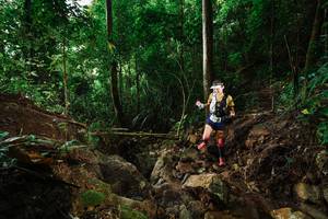 BIB: 
                            <button type="button" onclick="openModal(22407869)" class="btn btn-primary btn-sm float-right btn-popup" data-toggle="modal" data-target=".modal-high-quality">
                        <i class="fas fa-shopping-cart"></i> Add to Cart
                    </button>
                                            <button type="button" onclick="isThisMe(22407869, true)" class="btn btn-success btn-sm float-right btn-popup btn-isme hidden" data-toggle="tooltip" data-placement="bottom" title="นี่คือรูปของคุณใช่ไหม คลิกที่นี่เพื่อเอาเข้าอัลบั้ม">
                        <i class="fas fa-plus"></i> Add to album
                    </button>
                    <button type="button" onclick="isThisMe(22407869, false)" class="btn btn-warning btn-sm float-right btn-popup btn-isnotme hidden">
                        <i class="fas fa-ban"></i> Remove from album
                    </button>