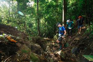 BIB: 
                            <button type="button" onclick="openModal(22408354)" class="btn btn-primary btn-sm float-right btn-popup" data-toggle="modal" data-target=".modal-high-quality">
                        <i class="fas fa-shopping-cart"></i> Add to Cart
                    </button>
                                            <button type="button" onclick="isThisMe(22408354, true)" class="btn btn-success btn-sm float-right btn-popup btn-isme hidden" data-toggle="tooltip" data-placement="bottom" title="นี่คือรูปของคุณใช่ไหม คลิกที่นี่เพื่อเอาเข้าอัลบั้ม">
                        <i class="fas fa-plus"></i> Add to album
                    </button>
                    <button type="button" onclick="isThisMe(22408354, false)" class="btn btn-warning btn-sm float-right btn-popup btn-isnotme hidden">
                        <i class="fas fa-ban"></i> Remove from album
                    </button>