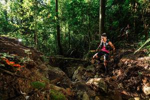 BIB: 
                            <button type="button" onclick="openModal(22395160)" class="btn btn-primary btn-sm float-right btn-popup" data-toggle="modal" data-target=".modal-high-quality">
                        <i class="fas fa-shopping-cart"></i> Add to Cart
                    </button>
                                            <button type="button" onclick="isThisMe(22395160, true)" class="btn btn-success btn-sm float-right btn-popup btn-isme hidden" data-toggle="tooltip" data-placement="bottom" title="นี่คือรูปของคุณใช่ไหม คลิกที่นี่เพื่อเอาเข้าอัลบั้ม">
                        <i class="fas fa-plus"></i> Add to album
                    </button>
                    <button type="button" onclick="isThisMe(22395160, false)" class="btn btn-warning btn-sm float-right btn-popup btn-isnotme hidden">
                        <i class="fas fa-ban"></i> Remove from album
                    </button>