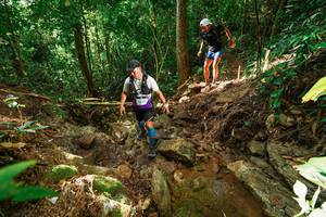 BIB: 
                            <button type="button" onclick="openModal(22421458)" class="btn btn-primary btn-sm float-right btn-popup" data-toggle="modal" data-target=".modal-high-quality">
                        <i class="fas fa-shopping-cart"></i> Add to Cart
                    </button>
                                            <button type="button" onclick="isThisMe(22421458, true)" class="btn btn-success btn-sm float-right btn-popup btn-isme hidden" data-toggle="tooltip" data-placement="bottom" title="นี่คือรูปของคุณใช่ไหม คลิกที่นี่เพื่อเอาเข้าอัลบั้ม">
                        <i class="fas fa-plus"></i> Add to album
                    </button>
                    <button type="button" onclick="isThisMe(22421458, false)" class="btn btn-warning btn-sm float-right btn-popup btn-isnotme hidden">
                        <i class="fas fa-ban"></i> Remove from album
                    </button>