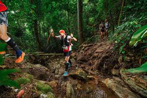 BIB: 
                            <button type="button" onclick="openModal(22440346)" class="btn btn-primary btn-sm float-right btn-popup" data-toggle="modal" data-target=".modal-high-quality">
                        <i class="fas fa-shopping-cart"></i> Add to Cart
                    </button>
                                            <button type="button" onclick="isThisMe(22440346, true)" class="btn btn-success btn-sm float-right btn-popup btn-isme hidden" data-toggle="tooltip" data-placement="bottom" title="นี่คือรูปของคุณใช่ไหม คลิกที่นี่เพื่อเอาเข้าอัลบั้ม">
                        <i class="fas fa-plus"></i> Add to album
                    </button>
                    <button type="button" onclick="isThisMe(22440346, false)" class="btn btn-warning btn-sm float-right btn-popup btn-isnotme hidden">
                        <i class="fas fa-ban"></i> Remove from album
                    </button>