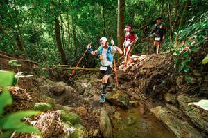 BIB: 
                            <button type="button" onclick="openModal(22421879)" class="btn btn-primary btn-sm float-right btn-popup" data-toggle="modal" data-target=".modal-high-quality">
                        <i class="fas fa-shopping-cart"></i> Add to Cart
                    </button>
                                            <button type="button" onclick="isThisMe(22421879, true)" class="btn btn-success btn-sm float-right btn-popup btn-isme hidden" data-toggle="tooltip" data-placement="bottom" title="นี่คือรูปของคุณใช่ไหม คลิกที่นี่เพื่อเอาเข้าอัลบั้ม">
                        <i class="fas fa-plus"></i> Add to album
                    </button>
                    <button type="button" onclick="isThisMe(22421879, false)" class="btn btn-warning btn-sm float-right btn-popup btn-isnotme hidden">
                        <i class="fas fa-ban"></i> Remove from album
                    </button>