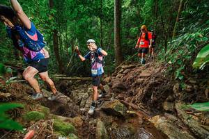 BIB: 
                            <button type="button" onclick="openModal(22440711)" class="btn btn-primary btn-sm float-right btn-popup" data-toggle="modal" data-target=".modal-high-quality">
                        <i class="fas fa-shopping-cart"></i> Add to Cart
                    </button>
                                            <button type="button" onclick="isThisMe(22440711, true)" class="btn btn-success btn-sm float-right btn-popup btn-isme hidden" data-toggle="tooltip" data-placement="bottom" title="นี่คือรูปของคุณใช่ไหม คลิกที่นี่เพื่อเอาเข้าอัลบั้ม">
                        <i class="fas fa-plus"></i> Add to album
                    </button>
                    <button type="button" onclick="isThisMe(22440711, false)" class="btn btn-warning btn-sm float-right btn-popup btn-isnotme hidden">
                        <i class="fas fa-ban"></i> Remove from album
                    </button>