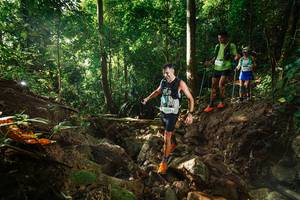 BIB: 
                            <button type="button" onclick="openModal(22408421)" class="btn btn-primary btn-sm float-right btn-popup" data-toggle="modal" data-target=".modal-high-quality">
                        <i class="fas fa-shopping-cart"></i> Add to Cart
                    </button>
                                            <button type="button" onclick="isThisMe(22408421, true)" class="btn btn-success btn-sm float-right btn-popup btn-isme hidden" data-toggle="tooltip" data-placement="bottom" title="นี่คือรูปของคุณใช่ไหม คลิกที่นี่เพื่อเอาเข้าอัลบั้ม">
                        <i class="fas fa-plus"></i> Add to album
                    </button>
                    <button type="button" onclick="isThisMe(22408421, false)" class="btn btn-warning btn-sm float-right btn-popup btn-isnotme hidden">
                        <i class="fas fa-ban"></i> Remove from album
                    </button>