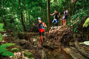 BIB: 
                            <button type="button" onclick="openModal(22421778)" class="btn btn-primary btn-sm float-right btn-popup" data-toggle="modal" data-target=".modal-high-quality">
                        <i class="fas fa-shopping-cart"></i> Add to Cart
                    </button>
                                            <button type="button" onclick="isThisMe(22421778, true)" class="btn btn-success btn-sm float-right btn-popup btn-isme hidden" data-toggle="tooltip" data-placement="bottom" title="นี่คือรูปของคุณใช่ไหม คลิกที่นี่เพื่อเอาเข้าอัลบั้ม">
                        <i class="fas fa-plus"></i> Add to album
                    </button>
                    <button type="button" onclick="isThisMe(22421778, false)" class="btn btn-warning btn-sm float-right btn-popup btn-isnotme hidden">
                        <i class="fas fa-ban"></i> Remove from album
                    </button>