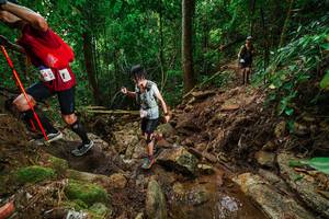 BIB: 
                            <button type="button" onclick="openModal(22444078)" class="btn btn-primary btn-sm float-right btn-popup" data-toggle="modal" data-target=".modal-high-quality">
                        <i class="fas fa-shopping-cart"></i> Add to Cart
                    </button>
                                            <button type="button" onclick="isThisMe(22444078, true)" class="btn btn-success btn-sm float-right btn-popup btn-isme hidden" data-toggle="tooltip" data-placement="bottom" title="นี่คือรูปของคุณใช่ไหม คลิกที่นี่เพื่อเอาเข้าอัลบั้ม">
                        <i class="fas fa-plus"></i> Add to album
                    </button>
                    <button type="button" onclick="isThisMe(22444078, false)" class="btn btn-warning btn-sm float-right btn-popup btn-isnotme hidden">
                        <i class="fas fa-ban"></i> Remove from album
                    </button>