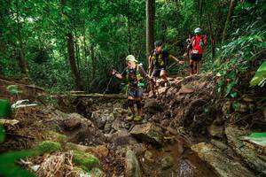 BIB: 
                            <button type="button" onclick="openModal(22438575)" class="btn btn-primary btn-sm float-right btn-popup" data-toggle="modal" data-target=".modal-high-quality">
                        <i class="fas fa-shopping-cart"></i> Add to Cart
                    </button>
                                            <button type="button" onclick="isThisMe(22438575, true)" class="btn btn-success btn-sm float-right btn-popup btn-isme hidden" data-toggle="tooltip" data-placement="bottom" title="นี่คือรูปของคุณใช่ไหม คลิกที่นี่เพื่อเอาเข้าอัลบั้ม">
                        <i class="fas fa-plus"></i> Add to album
                    </button>
                    <button type="button" onclick="isThisMe(22438575, false)" class="btn btn-warning btn-sm float-right btn-popup btn-isnotme hidden">
                        <i class="fas fa-ban"></i> Remove from album
                    </button>