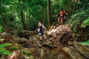 BIB: 
                            <button type="button" onclick="openModal(22439336)" class="btn btn-primary btn-sm float-right btn-popup" data-toggle="modal" data-target=".modal-high-quality">
                        <i class="fas fa-shopping-cart"></i> Add to Cart
                    </button>
                                            <button type="button" onclick="isThisMe(22439336, true)" class="btn btn-success btn-sm float-right btn-popup btn-isme hidden" data-toggle="tooltip" data-placement="bottom" title="นี่คือรูปของคุณใช่ไหม คลิกที่นี่เพื่อเอาเข้าอัลบั้ม">
                        <i class="fas fa-plus"></i> Add to album
                    </button>
                    <button type="button" onclick="isThisMe(22439336, false)" class="btn btn-warning btn-sm float-right btn-popup btn-isnotme hidden">
                        <i class="fas fa-ban"></i> Remove from album
                    </button>