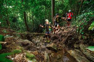 BIB: 
                            <button type="button" onclick="openModal(22438571)" class="btn btn-primary btn-sm float-right btn-popup" data-toggle="modal" data-target=".modal-high-quality">
                        <i class="fas fa-shopping-cart"></i> Add to Cart
                    </button>
                                            <button type="button" onclick="isThisMe(22438571, true)" class="btn btn-success btn-sm float-right btn-popup btn-isme hidden" data-toggle="tooltip" data-placement="bottom" title="นี่คือรูปของคุณใช่ไหม คลิกที่นี่เพื่อเอาเข้าอัลบั้ม">
                        <i class="fas fa-plus"></i> Add to album
                    </button>
                    <button type="button" onclick="isThisMe(22438571, false)" class="btn btn-warning btn-sm float-right btn-popup btn-isnotme hidden">
                        <i class="fas fa-ban"></i> Remove from album
                    </button>