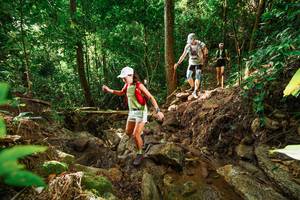 BIB: 9271
                            <button type="button" onclick="openModal(22421569)" class="btn btn-primary btn-sm float-right btn-popup" data-toggle="modal" data-target=".modal-high-quality">
                        <i class="fas fa-shopping-cart"></i> Add to Cart
                    </button>
                                            <button type="button" onclick="isThisMe(22421569, true)" class="btn btn-success btn-sm float-right btn-popup btn-isme hidden" data-toggle="tooltip" data-placement="bottom" title="นี่คือรูปของคุณใช่ไหม คลิกที่นี่เพื่อเอาเข้าอัลบั้ม">
                        <i class="fas fa-plus"></i> Add to album
                    </button>
                    <button type="button" onclick="isThisMe(22421569, false)" class="btn btn-warning btn-sm float-right btn-popup btn-isnotme hidden">
                        <i class="fas fa-ban"></i> Remove from album
                    </button>