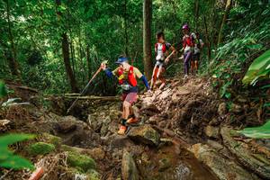 BIB: 
                            <button type="button" onclick="openModal(22439370)" class="btn btn-primary btn-sm float-right btn-popup" data-toggle="modal" data-target=".modal-high-quality">
                        <i class="fas fa-shopping-cart"></i> Add to Cart
                    </button>
                                            <button type="button" onclick="isThisMe(22439370, true)" class="btn btn-success btn-sm float-right btn-popup btn-isme hidden" data-toggle="tooltip" data-placement="bottom" title="นี่คือรูปของคุณใช่ไหม คลิกที่นี่เพื่อเอาเข้าอัลบั้ม">
                        <i class="fas fa-plus"></i> Add to album
                    </button>
                    <button type="button" onclick="isThisMe(22439370, false)" class="btn btn-warning btn-sm float-right btn-popup btn-isnotme hidden">
                        <i class="fas fa-ban"></i> Remove from album
                    </button>