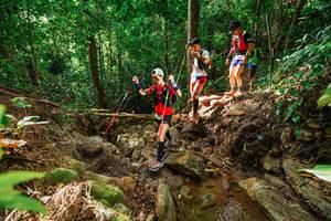 BIB: 
                            <button type="button" onclick="openModal(22438292)" class="btn btn-primary btn-sm float-right btn-popup" data-toggle="modal" data-target=".modal-high-quality">
                        <i class="fas fa-shopping-cart"></i> Add to Cart
                    </button>
                                            <button type="button" onclick="isThisMe(22438292, true)" class="btn btn-success btn-sm float-right btn-popup btn-isme hidden" data-toggle="tooltip" data-placement="bottom" title="นี่คือรูปของคุณใช่ไหม คลิกที่นี่เพื่อเอาเข้าอัลบั้ม">
                        <i class="fas fa-plus"></i> Add to album
                    </button>
                    <button type="button" onclick="isThisMe(22438292, false)" class="btn btn-warning btn-sm float-right btn-popup btn-isnotme hidden">
                        <i class="fas fa-ban"></i> Remove from album
                    </button>