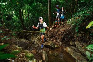 BIB: 
                            <button type="button" onclick="openModal(22420465)" class="btn btn-primary btn-sm float-right btn-popup" data-toggle="modal" data-target=".modal-high-quality">
                        <i class="fas fa-shopping-cart"></i> Add to Cart
                    </button>
                                            <button type="button" onclick="isThisMe(22420465, true)" class="btn btn-success btn-sm float-right btn-popup btn-isme hidden" data-toggle="tooltip" data-placement="bottom" title="นี่คือรูปของคุณใช่ไหม คลิกที่นี่เพื่อเอาเข้าอัลบั้ม">
                        <i class="fas fa-plus"></i> Add to album
                    </button>
                    <button type="button" onclick="isThisMe(22420465, false)" class="btn btn-warning btn-sm float-right btn-popup btn-isnotme hidden">
                        <i class="fas fa-ban"></i> Remove from album
                    </button>