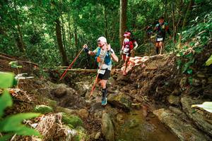 BIB: 
                            <button type="button" onclick="openModal(22421885)" class="btn btn-primary btn-sm float-right btn-popup" data-toggle="modal" data-target=".modal-high-quality">
                        <i class="fas fa-shopping-cart"></i> Add to Cart
                    </button>
                                            <button type="button" onclick="isThisMe(22421885, true)" class="btn btn-success btn-sm float-right btn-popup btn-isme hidden" data-toggle="tooltip" data-placement="bottom" title="นี่คือรูปของคุณใช่ไหม คลิกที่นี่เพื่อเอาเข้าอัลบั้ม">
                        <i class="fas fa-plus"></i> Add to album
                    </button>
                    <button type="button" onclick="isThisMe(22421885, false)" class="btn btn-warning btn-sm float-right btn-popup btn-isnotme hidden">
                        <i class="fas fa-ban"></i> Remove from album
                    </button>