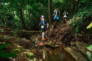 BIB: 
                            <button type="button" onclick="openModal(22420480)" class="btn btn-primary btn-sm float-right btn-popup" data-toggle="modal" data-target=".modal-high-quality">
                        <i class="fas fa-shopping-cart"></i> Add to Cart
                    </button>
                                            <button type="button" onclick="isThisMe(22420480, true)" class="btn btn-success btn-sm float-right btn-popup btn-isme hidden" data-toggle="tooltip" data-placement="bottom" title="นี่คือรูปของคุณใช่ไหม คลิกที่นี่เพื่อเอาเข้าอัลบั้ม">
                        <i class="fas fa-plus"></i> Add to album
                    </button>
                    <button type="button" onclick="isThisMe(22420480, false)" class="btn btn-warning btn-sm float-right btn-popup btn-isnotme hidden">
                        <i class="fas fa-ban"></i> Remove from album
                    </button>