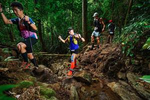 BIB: 
                            <button type="button" onclick="openModal(22438053)" class="btn btn-primary btn-sm float-right btn-popup" data-toggle="modal" data-target=".modal-high-quality">
                        <i class="fas fa-shopping-cart"></i> Add to Cart
                    </button>
                                            <button type="button" onclick="isThisMe(22438053, true)" class="btn btn-success btn-sm float-right btn-popup btn-isme hidden" data-toggle="tooltip" data-placement="bottom" title="นี่คือรูปของคุณใช่ไหม คลิกที่นี่เพื่อเอาเข้าอัลบั้ม">
                        <i class="fas fa-plus"></i> Add to album
                    </button>
                    <button type="button" onclick="isThisMe(22438053, false)" class="btn btn-warning btn-sm float-right btn-popup btn-isnotme hidden">
                        <i class="fas fa-ban"></i> Remove from album
                    </button>