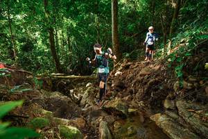 BIB: 
                            <button type="button" onclick="openModal(22419754)" class="btn btn-primary btn-sm float-right btn-popup" data-toggle="modal" data-target=".modal-high-quality">
                        <i class="fas fa-shopping-cart"></i> Add to Cart
                    </button>
                                            <button type="button" onclick="isThisMe(22419754, true)" class="btn btn-success btn-sm float-right btn-popup btn-isme hidden" data-toggle="tooltip" data-placement="bottom" title="นี่คือรูปของคุณใช่ไหม คลิกที่นี่เพื่อเอาเข้าอัลบั้ม">
                        <i class="fas fa-plus"></i> Add to album
                    </button>
                    <button type="button" onclick="isThisMe(22419754, false)" class="btn btn-warning btn-sm float-right btn-popup btn-isnotme hidden">
                        <i class="fas fa-ban"></i> Remove from album
                    </button>