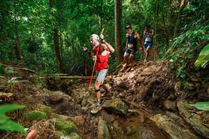 BIB: 
                            <button type="button" onclick="openModal(22439733)" class="btn btn-primary btn-sm float-right btn-popup" data-toggle="modal" data-target=".modal-high-quality">
                        <i class="fas fa-shopping-cart"></i> Add to Cart
                    </button>
                                            <button type="button" onclick="isThisMe(22439733, true)" class="btn btn-success btn-sm float-right btn-popup btn-isme hidden" data-toggle="tooltip" data-placement="bottom" title="นี่คือรูปของคุณใช่ไหม คลิกที่นี่เพื่อเอาเข้าอัลบั้ม">
                        <i class="fas fa-plus"></i> Add to album
                    </button>
                    <button type="button" onclick="isThisMe(22439733, false)" class="btn btn-warning btn-sm float-right btn-popup btn-isnotme hidden">
                        <i class="fas fa-ban"></i> Remove from album
                    </button>