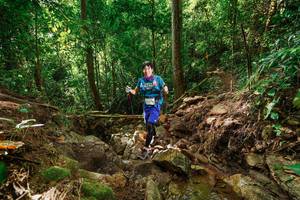 BIB: 
                            <button type="button" onclick="openModal(22442298)" class="btn btn-primary btn-sm float-right btn-popup" data-toggle="modal" data-target=".modal-high-quality">
                        <i class="fas fa-shopping-cart"></i> Add to Cart
                    </button>
                                            <button type="button" onclick="isThisMe(22442298, true)" class="btn btn-success btn-sm float-right btn-popup btn-isme hidden" data-toggle="tooltip" data-placement="bottom" title="นี่คือรูปของคุณใช่ไหม คลิกที่นี่เพื่อเอาเข้าอัลบั้ม">
                        <i class="fas fa-plus"></i> Add to album
                    </button>
                    <button type="button" onclick="isThisMe(22442298, false)" class="btn btn-warning btn-sm float-right btn-popup btn-isnotme hidden">
                        <i class="fas fa-ban"></i> Remove from album
                    </button>