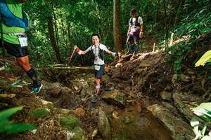 BIB: 
                            <button type="button" onclick="openModal(22421423)" class="btn btn-primary btn-sm float-right btn-popup" data-toggle="modal" data-target=".modal-high-quality">
                        <i class="fas fa-shopping-cart"></i> Add to Cart
                    </button>
                                            <button type="button" onclick="isThisMe(22421423, true)" class="btn btn-success btn-sm float-right btn-popup btn-isme hidden" data-toggle="tooltip" data-placement="bottom" title="นี่คือรูปของคุณใช่ไหม คลิกที่นี่เพื่อเอาเข้าอัลบั้ม">
                        <i class="fas fa-plus"></i> Add to album
                    </button>
                    <button type="button" onclick="isThisMe(22421423, false)" class="btn btn-warning btn-sm float-right btn-popup btn-isnotme hidden">
                        <i class="fas fa-ban"></i> Remove from album
                    </button>