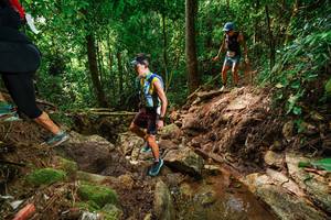 BIB: 
                            <button type="button" onclick="openModal(22444996)" class="btn btn-primary btn-sm float-right btn-popup" data-toggle="modal" data-target=".modal-high-quality">
                        <i class="fas fa-shopping-cart"></i> Add to Cart
                    </button>
                                            <button type="button" onclick="isThisMe(22444996, true)" class="btn btn-success btn-sm float-right btn-popup btn-isme hidden" data-toggle="tooltip" data-placement="bottom" title="นี่คือรูปของคุณใช่ไหม คลิกที่นี่เพื่อเอาเข้าอัลบั้ม">
                        <i class="fas fa-plus"></i> Add to album
                    </button>
                    <button type="button" onclick="isThisMe(22444996, false)" class="btn btn-warning btn-sm float-right btn-popup btn-isnotme hidden">
                        <i class="fas fa-ban"></i> Remove from album
                    </button>